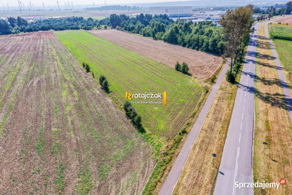 Grunt 9602m2 Łebcz Dr Augusta Oetkera 230m Sprzedaż