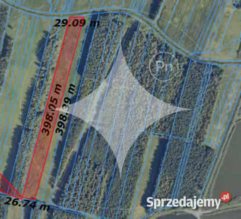 Piękna duża łąka z potencjałem w Pniówku Sprzedaż Pniówek