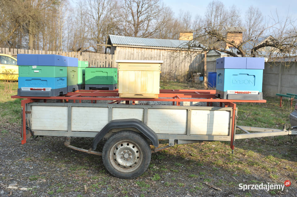 Zabudowa przyczepki platformą do przewozu uli Odrowąż