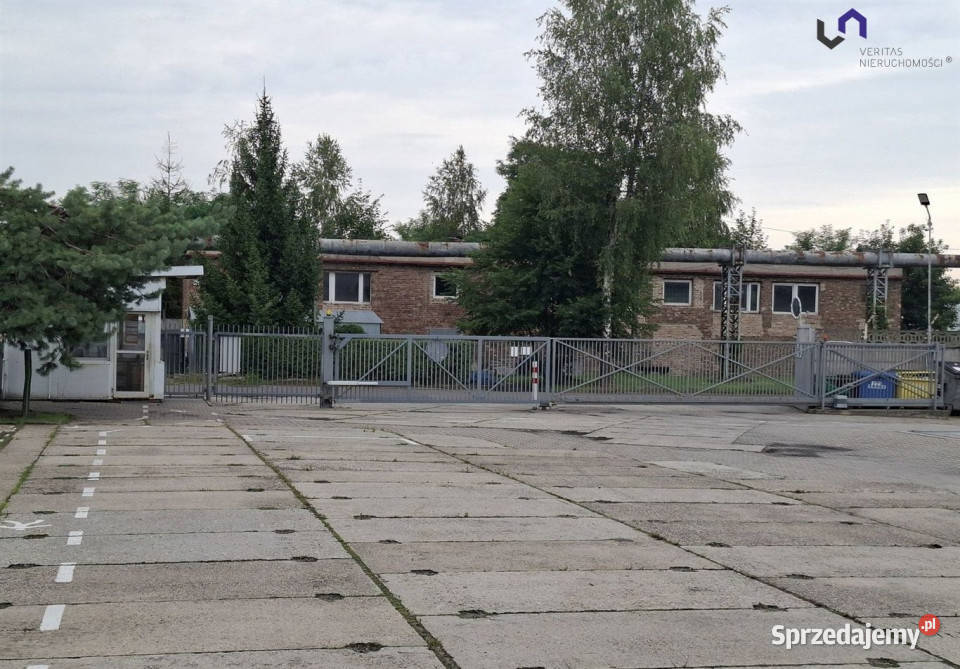 Lokal do wynajęcia 3550m2 Sosnowiec Wynajem