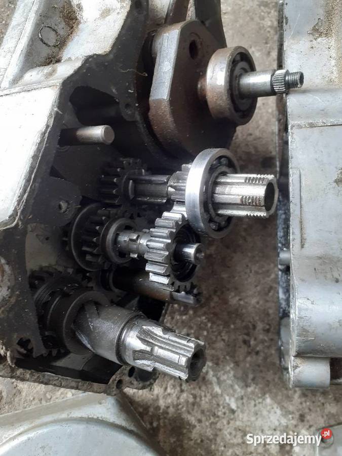 Silnik komar ogar motorynka 019 Konin