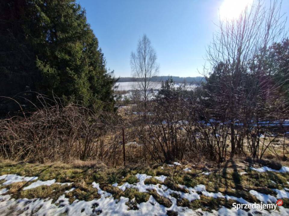 Syndyk sprzeda nieruchomość niezabudowaną pomorskie Sikorzyno