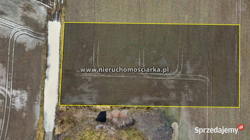 Grunt 4593m2 Gorzyce