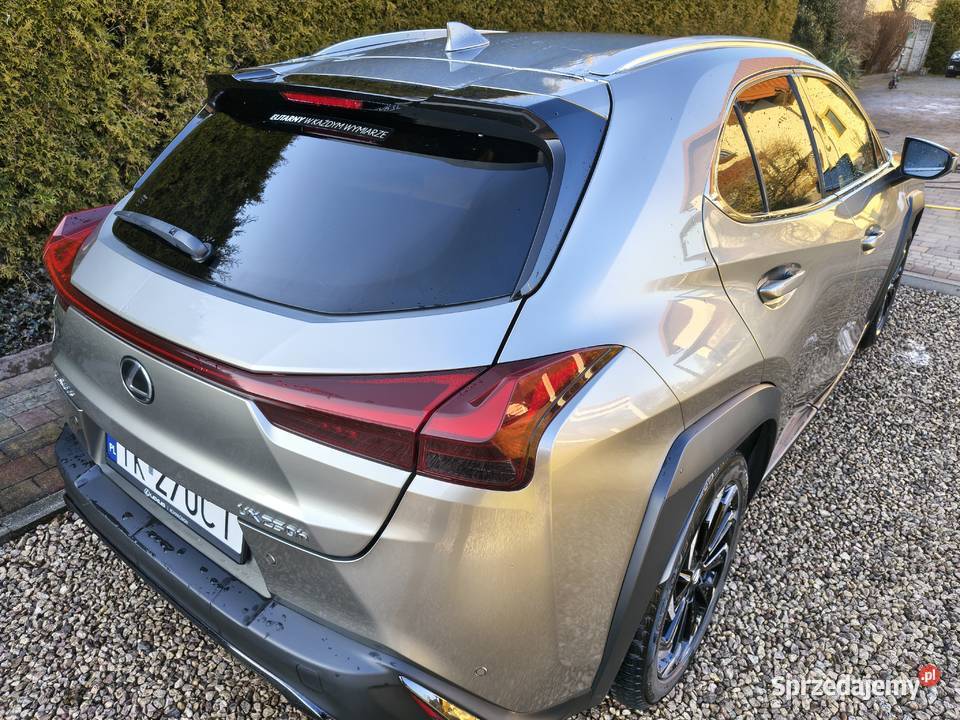 Lexus UX 250h Fsport Design Plus 2023 Gwarancja UX świętokrzyskie Kielce