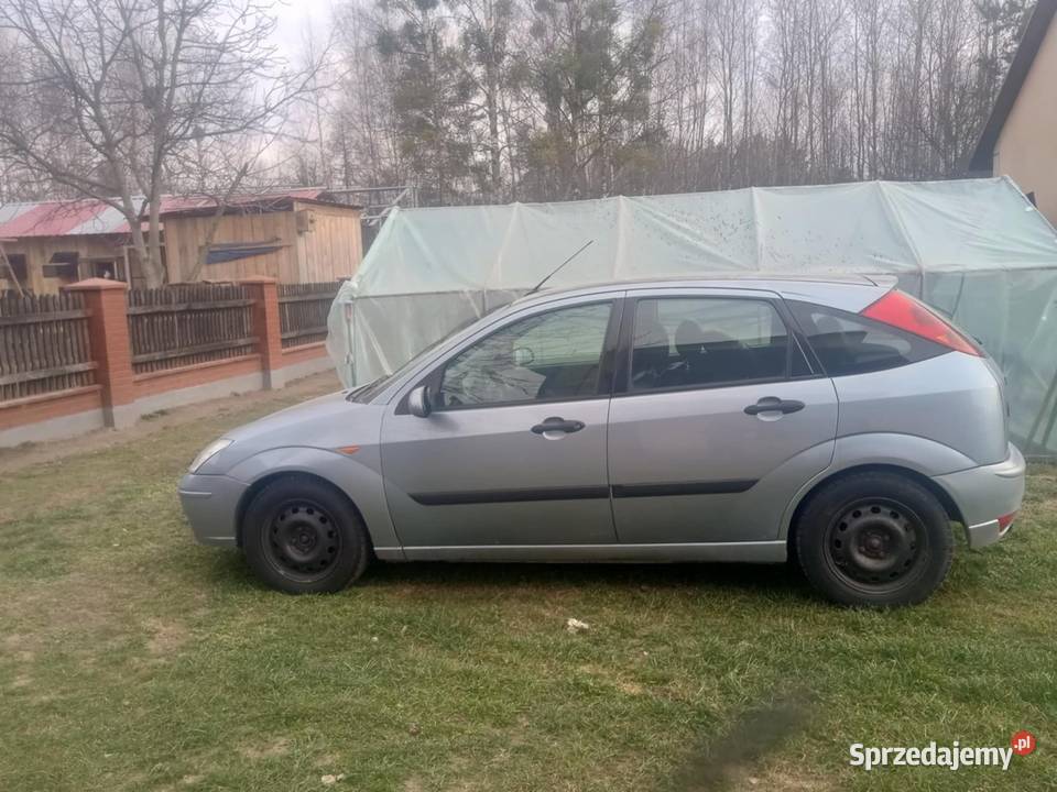 Ford Focus mk1 2004 Polift Nowa Dęba