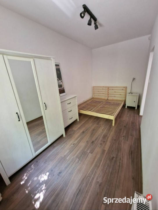 Wynajmę bezpośrednio właściciela