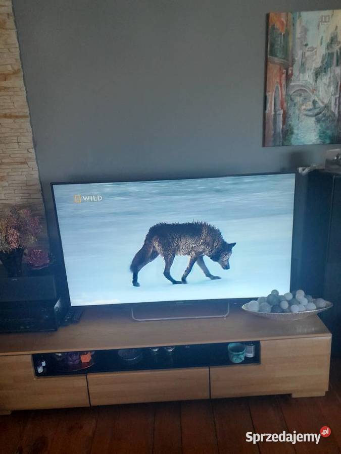 Sprzedam TV SONY 55 super stan idealny obraz Sony Telewizory Opoczno