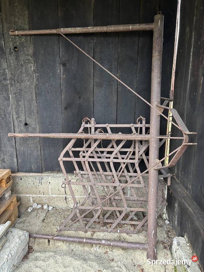 Brony zębowe Palikówka