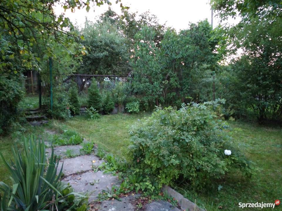 Ogródek działkowy sprzedam prąd Bytom