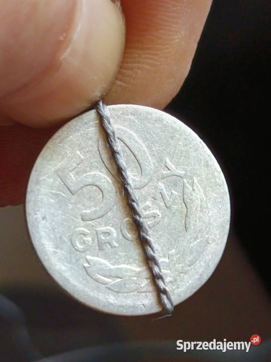 Sprzedam monetę 50 groszy 1957 mała skrętka jjjj Chełm