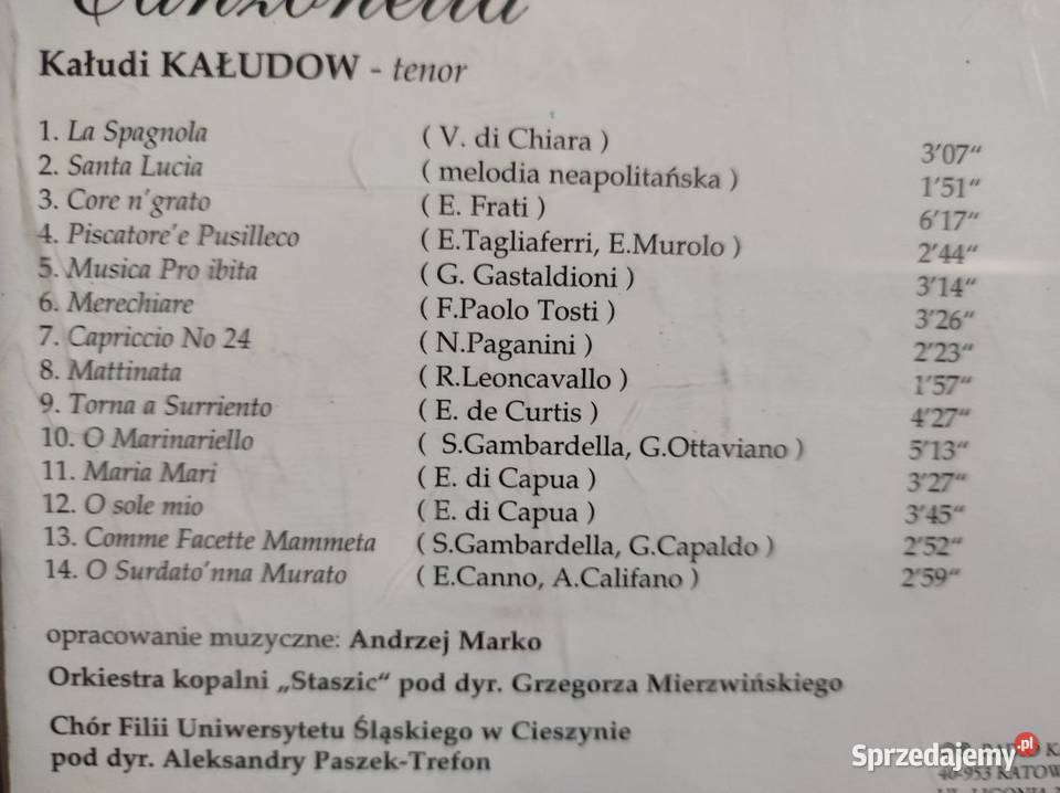 Wieczór muzyczny śląskie płyty Kałudi Kałudow CD Kielce sprzedam