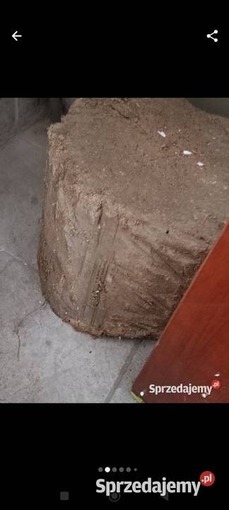 drewno deska opał pieńki Poznań