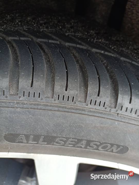 Rline Salon bezwypadkowy 20 TDI 4x4 manual hak Brodnica sprzedam