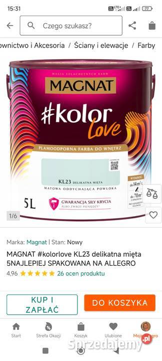 Farba Magnat delikatna mięta Chorzów