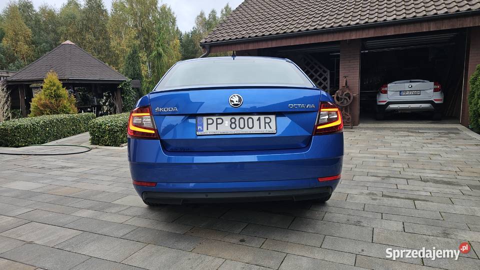 Skoda Octavia 2017r krajowe Rok produkcji 2017 Octavia wielkopolskie Kaczory