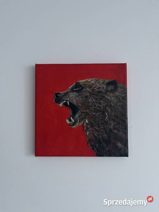 Niedźwiedź brunatny obraz olejny na płótnie  Świebodzin