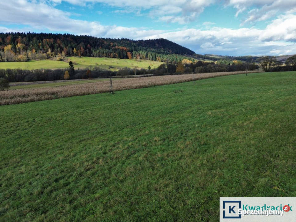 sprzedaży gruntu 587000m2 Daliowa 587000m2 Grunty i działki