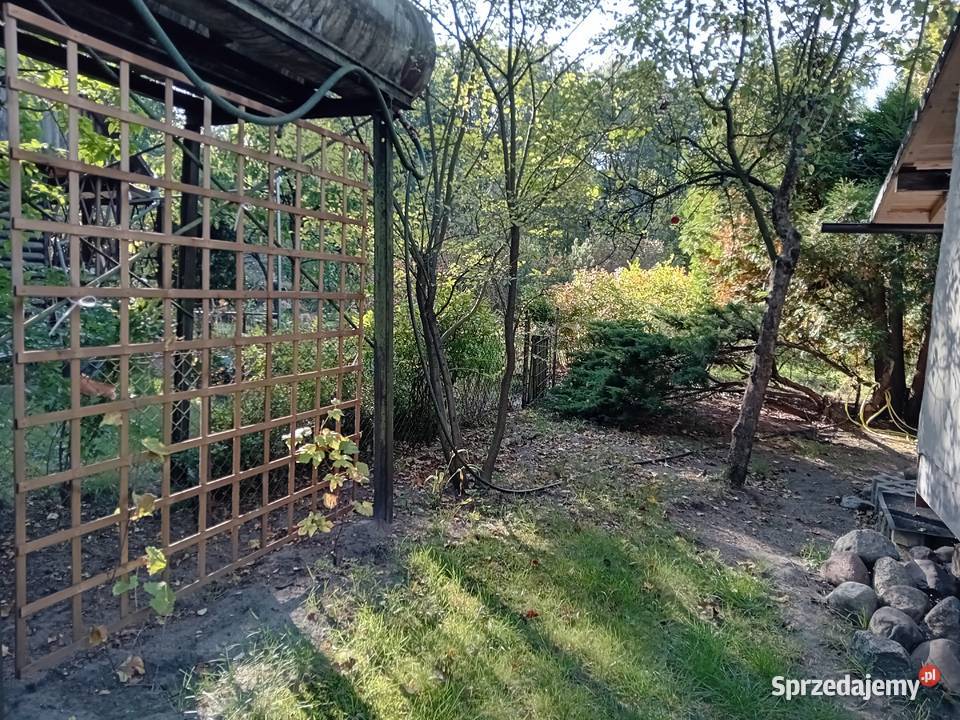 Działka ROD Zielonka 300m2 Sprzedaż sprzedam