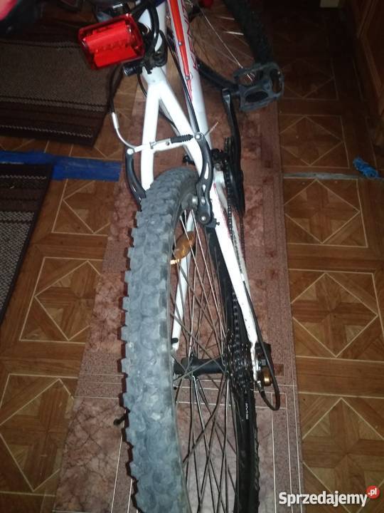Rower KENITE 24 cale Lublin