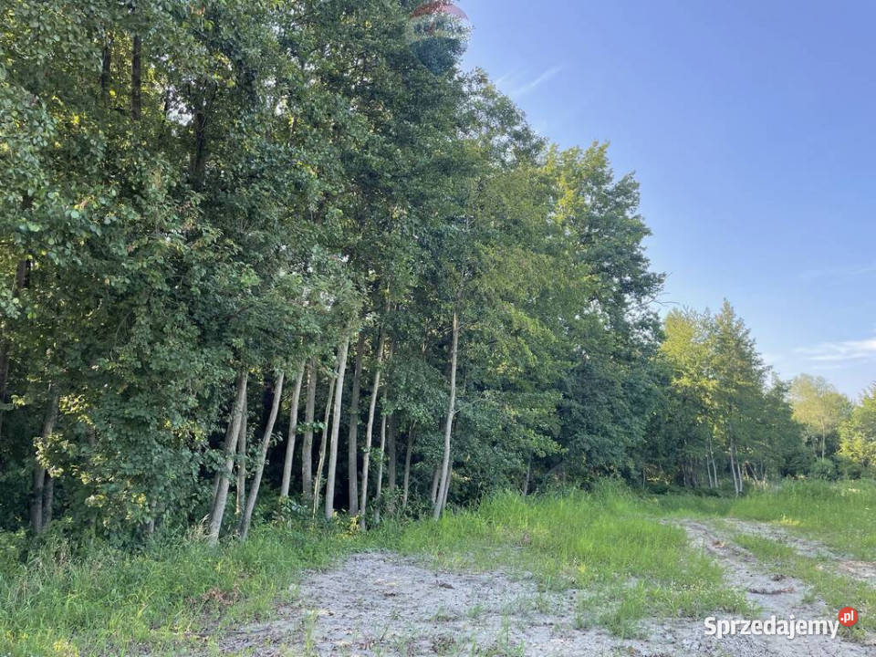 Działka budowlana Krzeczów NOWA BLACK WEEKS 39m