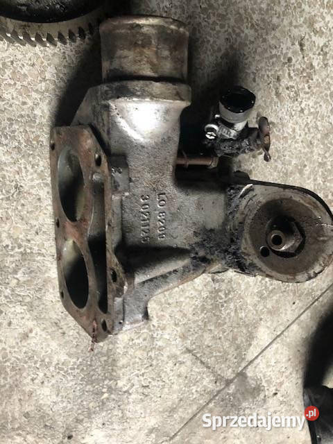 Liebherr D926 Termostat Jastrzębniki