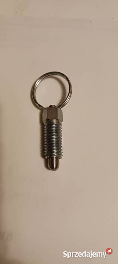 Trzpień Częstochowa