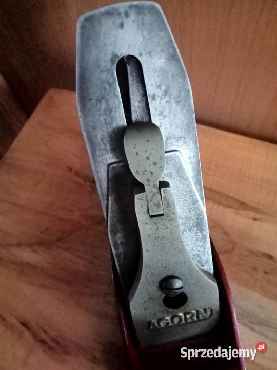 strug do drewna acorn wielkopolskie Nowy Tomyśl