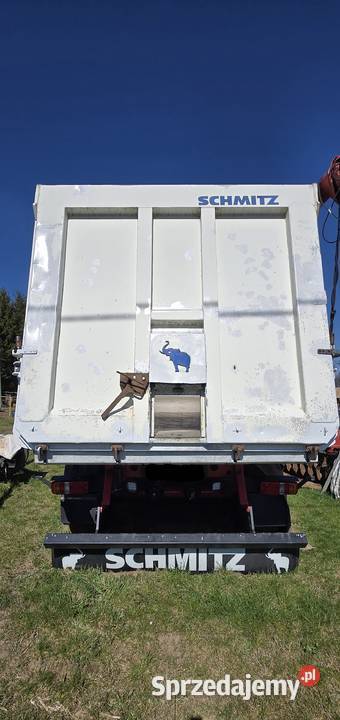 Wywrotka Schmitz Cargobull 48m3 Skarszewy