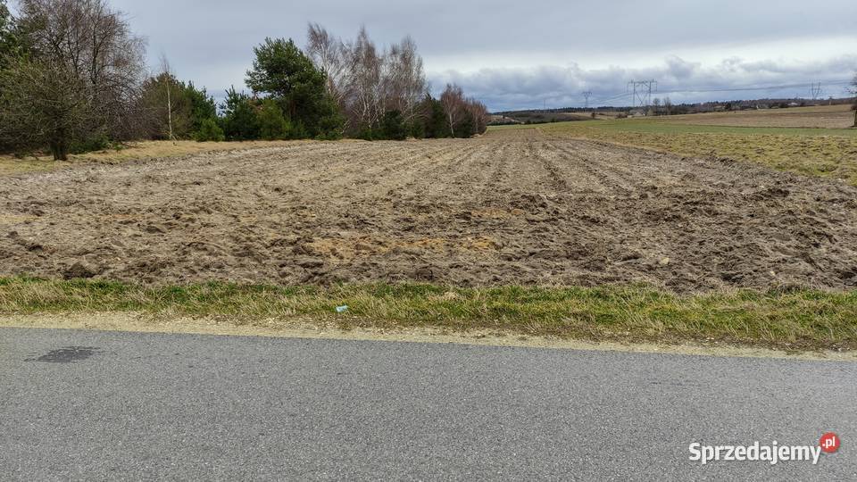 Działka rolnobudowlana asfalt Małusy Małe