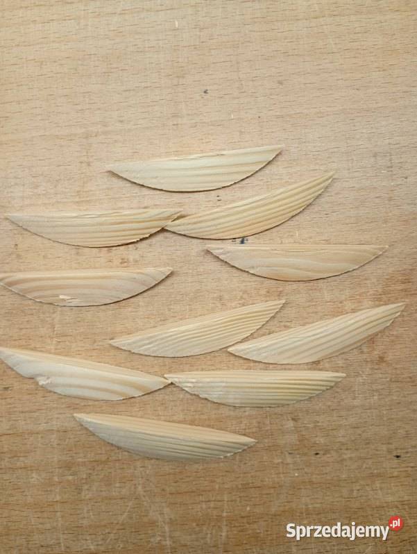 Zaprawka Sosnowa G2 klasa II Pozostałe małopolskie Piwniczna-Zdrój