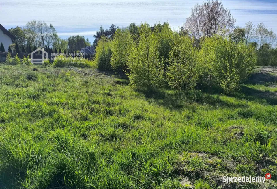 sprzedaży działki Dobrzewino 1667m2 1667m2 Sprzedaż