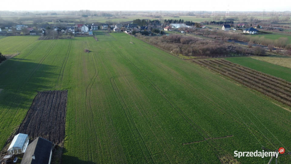 Działka rolnobudowlana 062 ha w Gołębiu kPuław Gołąb