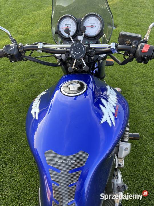Honda CB 600F Hornet super stan bez wkładu Kurzętnik