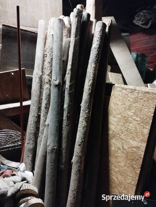 Stemple budowlane kujawsko-pomorskie Brodnica sprzedam