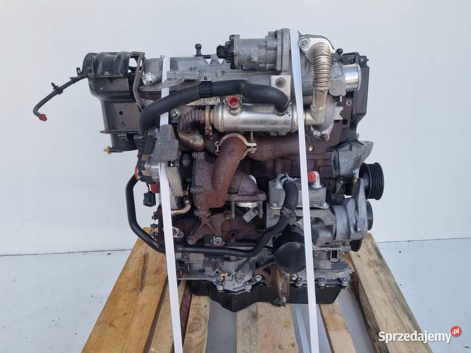 SILNIK KOMPLET Ford C C 18 TDCI 115 ładnie pali Rudka
