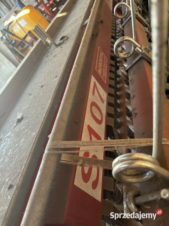 Siewnik nieuszkodzony Grębów