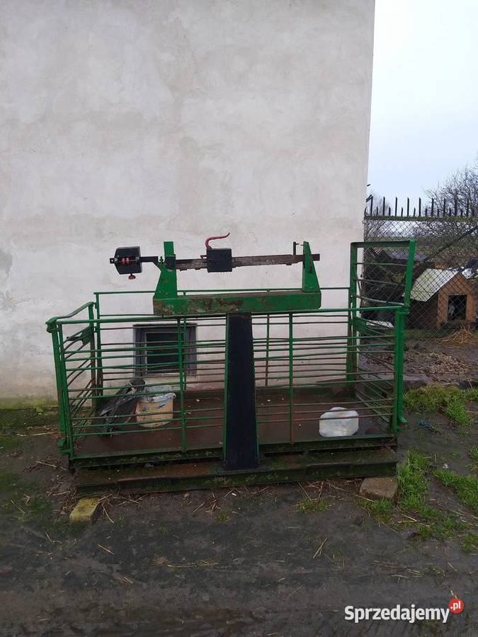 Waga do ważenia świń i bydla kujawsko-pomorskie Rywałd