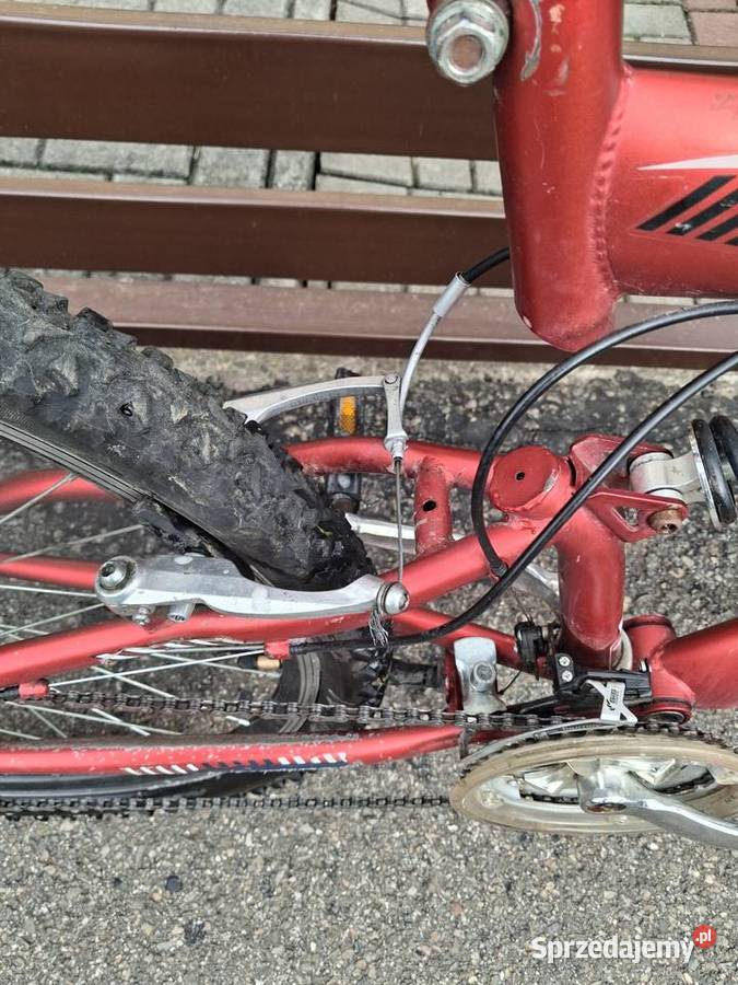 Rower górski Pionier Górskie, MTB