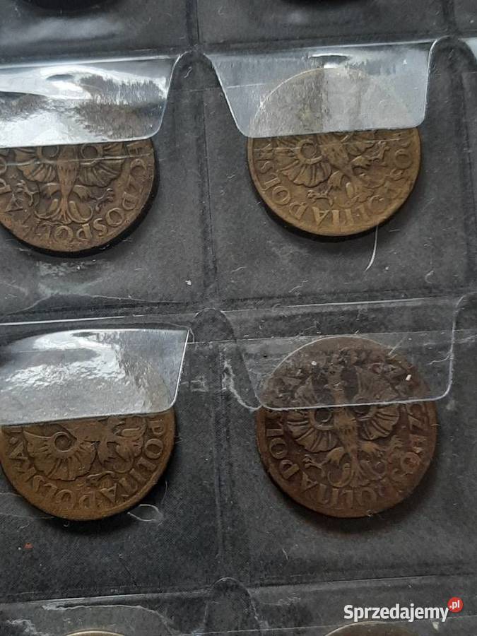 5 Groszy Bielsko-Biała sprzedam