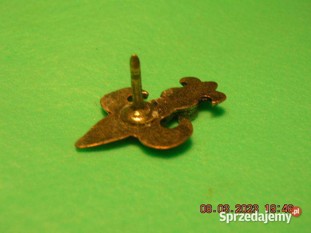 Odznaka Szare Szeregi Łódź