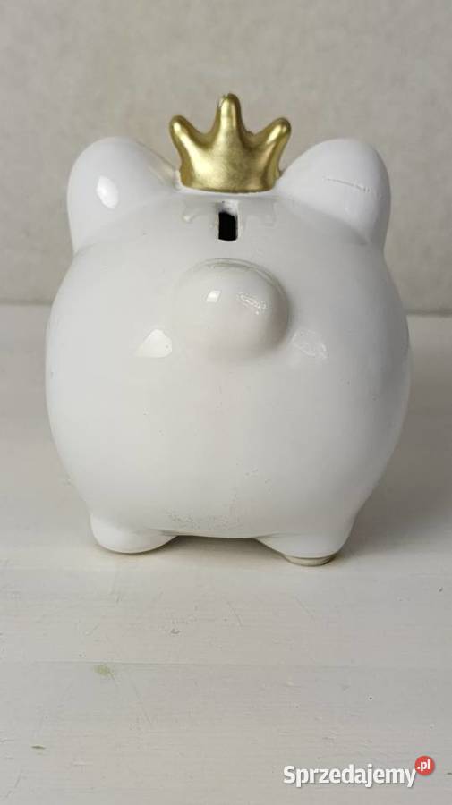 Świnka skarbonka Łódź