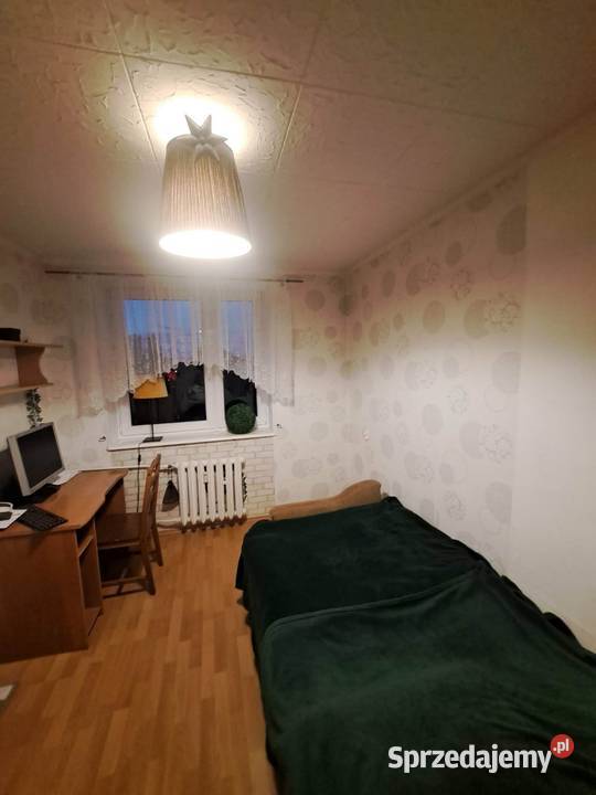 Mieszkanie w bloku dom nieruchomości Mogilno sprzedam