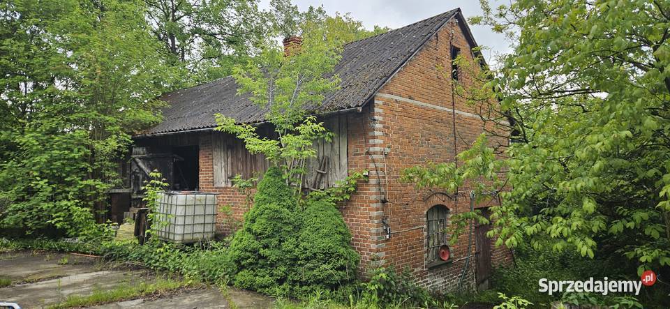 Działka zabudowana z sadem