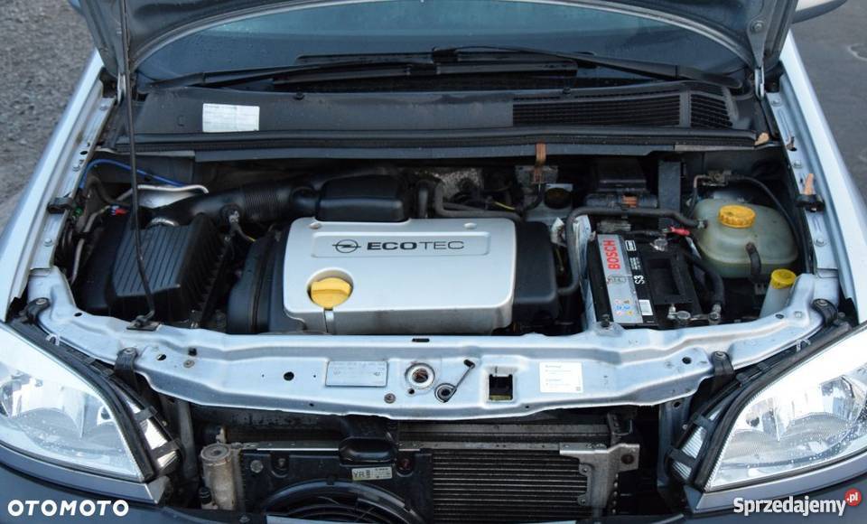 Zadbany Opel Zafira 16 Benzyna Okazja Sochaczew