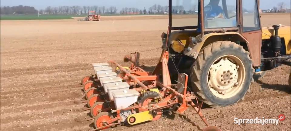 Siewnik do buraków gamma Kędzierzyn-Koźle