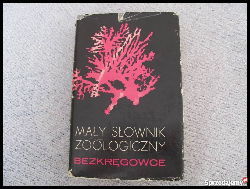 Mały Słownik Zoologiczny BEZKRĘGOWCE 6 slajdów Rok wydania 1976 sprzedam