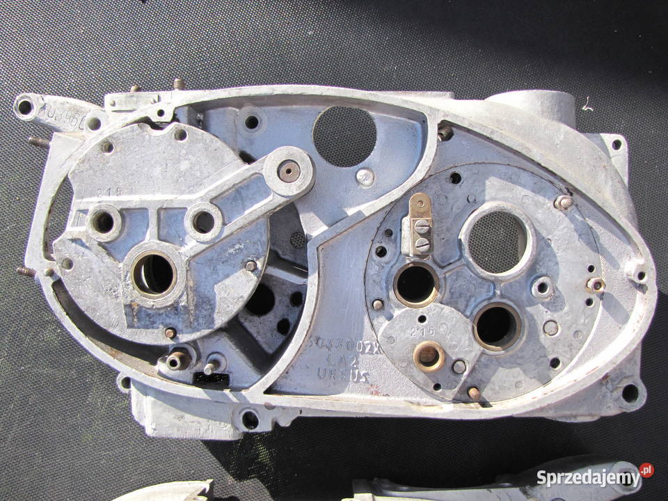 Kartery Junak M10 exportowe świętokrzyskie Rzepin Drugi