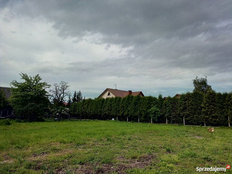 Sprzedam działkę budowlaną Brzezie sprzedam