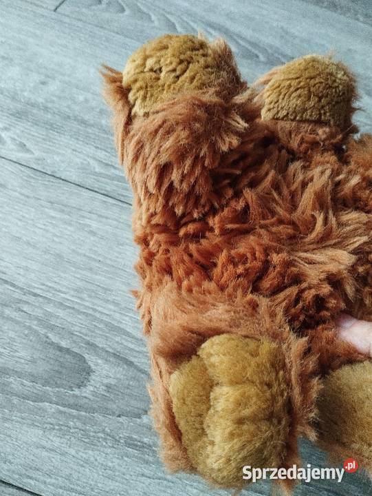 miś pluszak maskotka kolejny Maskotki Poznań