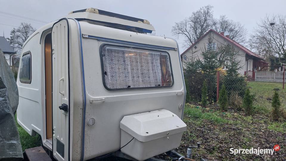 Niewiadów N 126 Warszawa